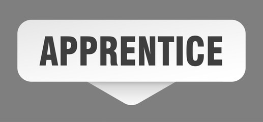 APPRENTICE banner, button, sign on transparent background