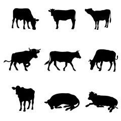 Cow silhouette set on white background. 