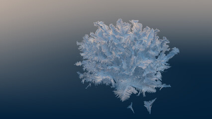 Macro close up of frostwork. Natural ice pattern on window on background of gradient from...