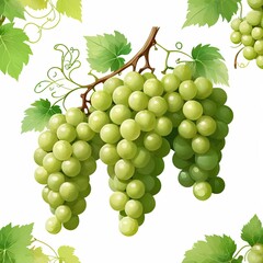 Obraz premium A bunch of ripe green grapes hanging from the vine, surrounded by lush green leaves. A vibrant image showcasing the beauty of nature's bounty.