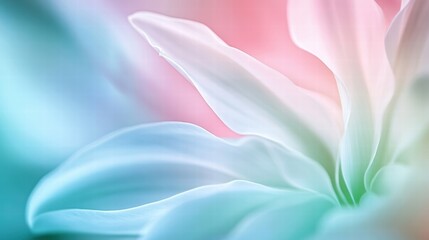 Obraz premium pastel flower petals abstract background