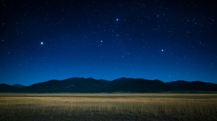 Fototapeta premium Starry Night Over Serene Mountain Meadow