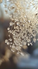 Intricate Frost Crystals on Delicate Winter Branches with Golden Light