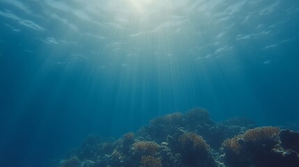 Fototapeta premium Underwater Coral Reef Scene with Sunbeams Shining Through