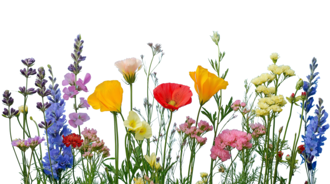 A cluster of colorful wildflowers in a meadow, isolated on a pastel blue background, highly detailed and vivid.