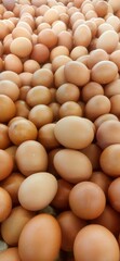 Fresh brown eggs collected in large quantities at a farm during daytime