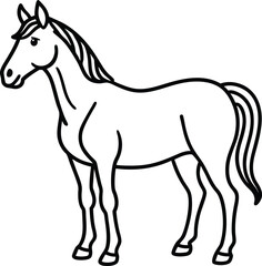 horse illustration