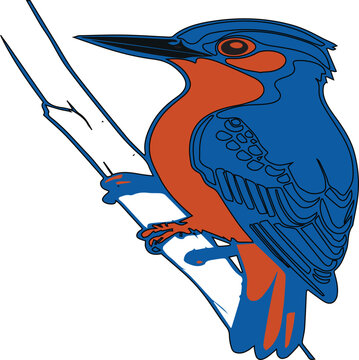 recommend clip art: line art kingfisher design with colorful