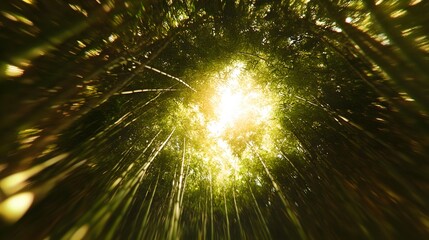 A serene bamboo forest with towering green stalks, creating a natural tunnel of light and shadow