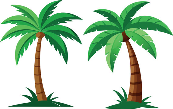 palm tree illustration