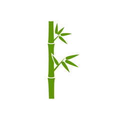 Fototapeta premium Vector Illustration of Green Bamboo Stalk with Leaves on Neutral Background
