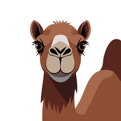 Obraz premium Cartoon Camel in Minimalist Vector Style Illustration for Educational Use