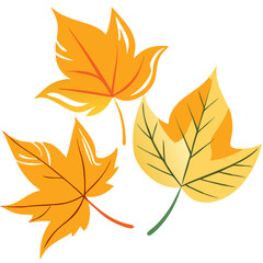 Colorful Autumn Leaves Vector Illustration for Seasonal Designs and Crafts