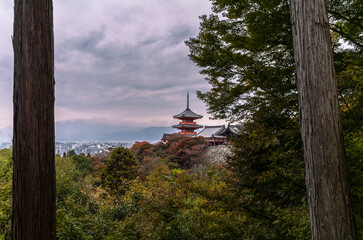 The main pagoda of the Kiyomizu-dera temple complex emerging from the forest full of colours in Autumn