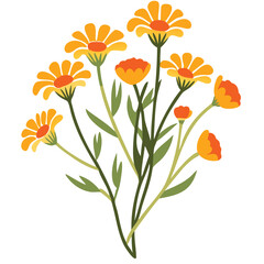  Bright Yellow and Orange Flowers Vector Botanical Illustration for Design Projects