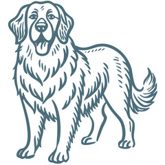 Fototapeta premium Majestic Golden Retriever Dog Outline Vector Art for Pet Illustrations