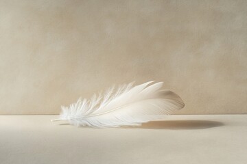 single feather resting on smooth sand illuminated by soft evening light