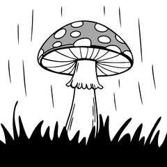  Monochrome Rainy Scene with Spotted Mushroom in Grass Vector Art