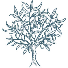 Fototapeta premium Olive Tree Vector Illustration with Leaves and Fruits for Mediterranean Design