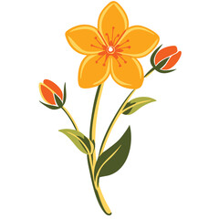  Bright Yellow Flower with Buds Botanical Vector Illustration
