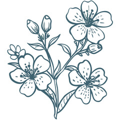  Vintage Floral Botanical Illustration with Blossoms and Buds Vector Art Design