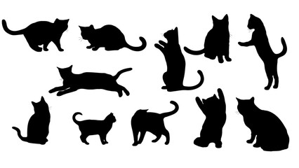 Collection of cat silhouettes in various poses on white background.