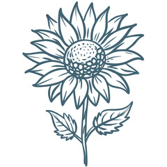  Hand Drawn Sunflower Illustration Botanical Art Floral Vector Design