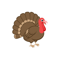  Cartoon Turkey Vector Illustration for Thanksgiving and Holiday Designs