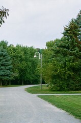 Lampost on pathway