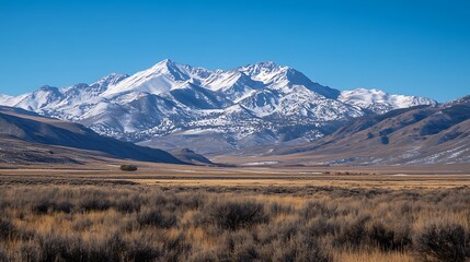 Fototapeta premium Snow-capped mountain range under a clear blue sky, viewed from a dry, grassy plain.