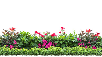 Naklejka premium A vibrant wall of colorful flowers from a garden, showcasing a variety of blooms like roses, daisies, and tulips isolated on transparent background