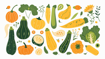 Flat Style Zucchini Vegetable Vector Illustration