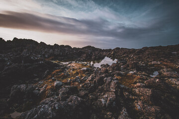 Fototapeta premium Misty Rocky Shoreline: A Serene Coastal Wilderness