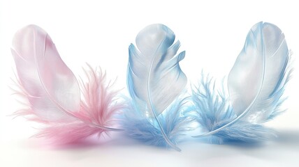 Naklejka premium Delicate pink and blue feathers arranged artistically on a soft white background, showcasing a gentle and whimsical aesthetic.