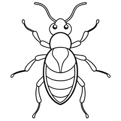 weevil insect flat vector illustration on white background