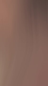 Vertical abstract animated smooth flowing background in mocha mousse beige brown 2025 trendy tones 