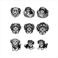 Havanese Dog Svg  Illustration Vector black and white 