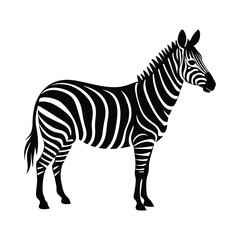 zebra silhouettes isolated on white background