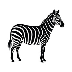 zebra silhouettes vector illustration isolated on a white background
