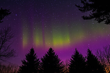 Majestic Northern Lights Over Snowy Forest Lake Landscape at Night Generative AI Image