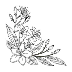 Abstract floral design element white illustration background with flowers