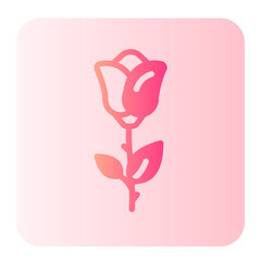 red rose gradient icon