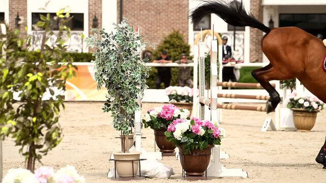 Horse jumps gracefully in equestrian show jumping competition showcasing athletic skill and precision