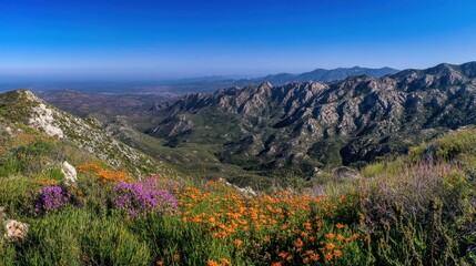 Panoramic view of mountain range with wildflowers in foreground under clear blue sky.
