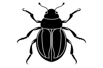 -beetle