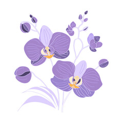 Purple orchids. Flowers on a white background. For botanical and floral designs.