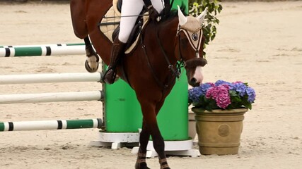 Elegant horse jumps over obstacles in equestrian show jumping competition