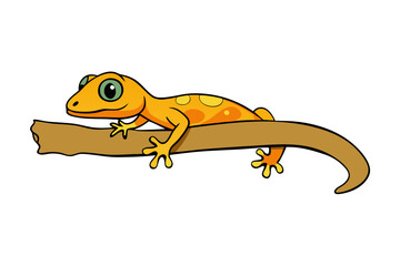 gecko on white