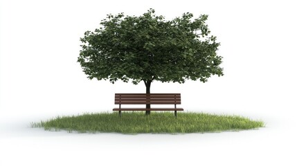Obraz premium A solitary bench under a lush tree on a grassy patch, symbolizing tranquility and nature.