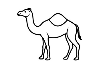 camel cartoon illustration